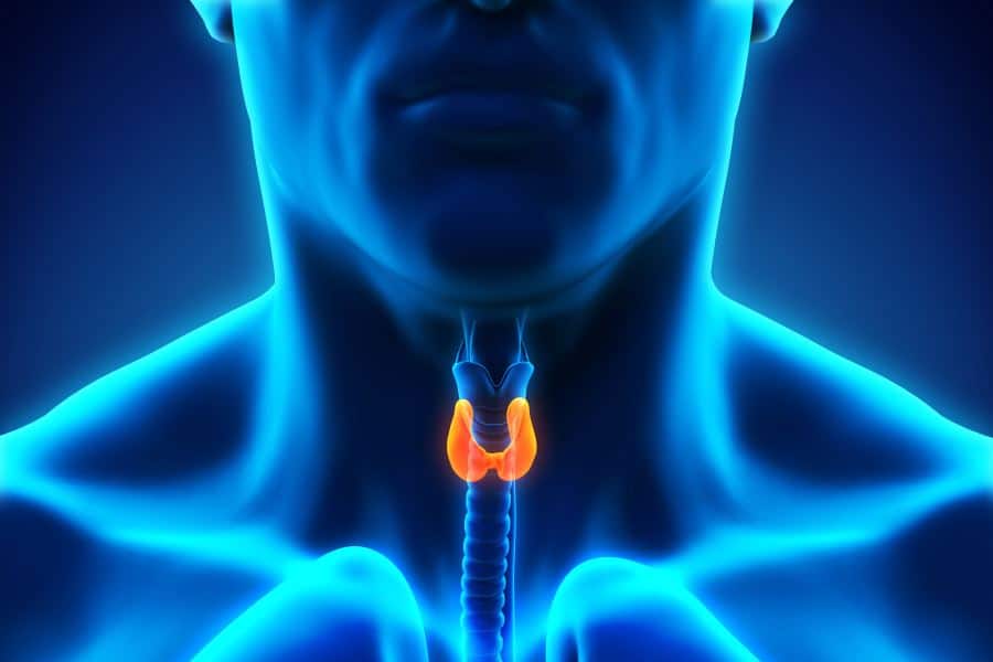 cáncer de tiroides. La falsa epidemia