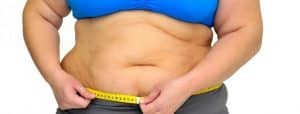 Cardo Mariano contra la obesidad