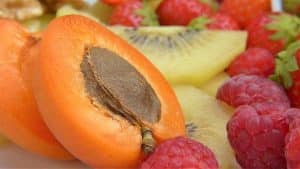 Vitamina B