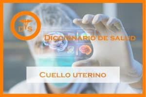 Cuello uterino o cérvix