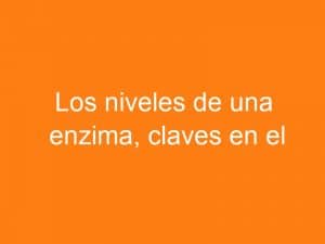 Una enzima clave en el desarrollo del embarazo