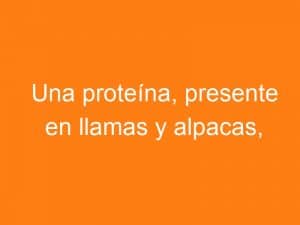 Proteína de llamas y alpacas