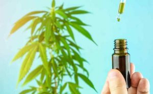 Cannabidiol como alternativa natural al paracetamol y el ibuprofeno