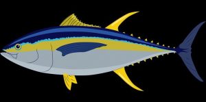 Pescado con mercurio, relacionado con el cáncer