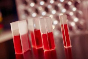 Medición y efectos de los metales pesados