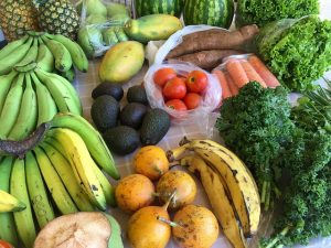 Dieta para la endometriosis