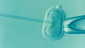 Microinyección Intracitoplasmática de Espermatozoides