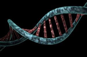 Diagnóstico Genético Preimplantacional