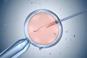 Alternativas de inseminación artificial