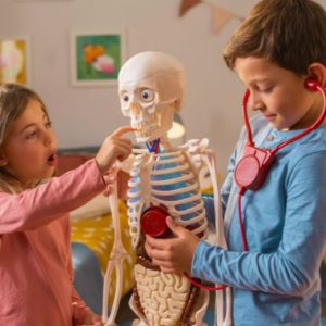 Importancia de que los niños conozcan el cuerpo humano