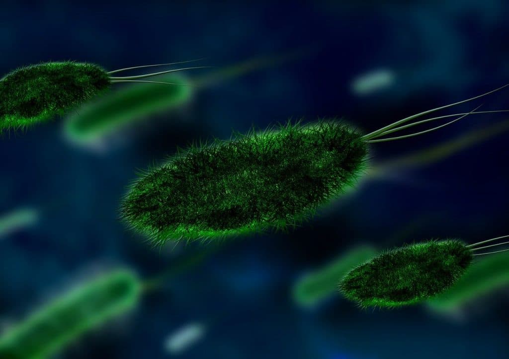 Virus del Papiloma Humano: guía completa para entender y prevenir esta infección