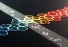 David Sinclair y Life Biosciences: Hacia la reversión del envejecimiento celular